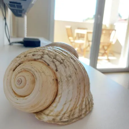 Seashells Tribunj Apartment