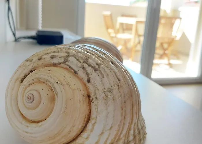 Seashells Tribunj Appartement