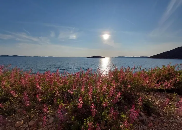 Seashells Tribunj Daire *